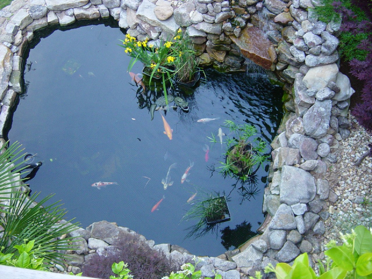 garden pond